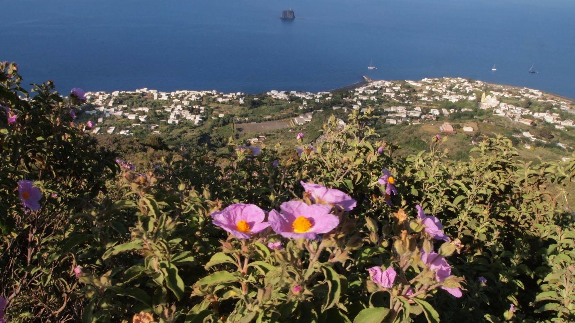 Il Vulcano A Piedi Estrómboli Exterior foto